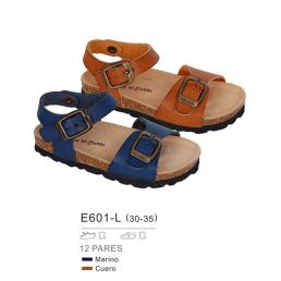 E601-L