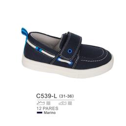C539-L